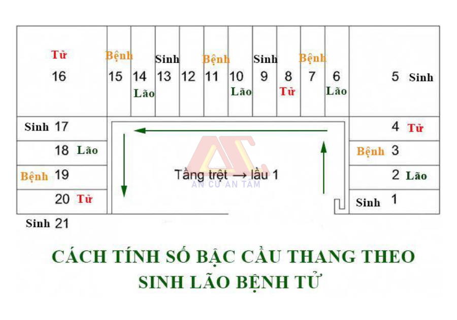 Công ty Xây dựng An Cư chuyên thiết kế và thi công nhà trọn gói uy tín, chất lượng